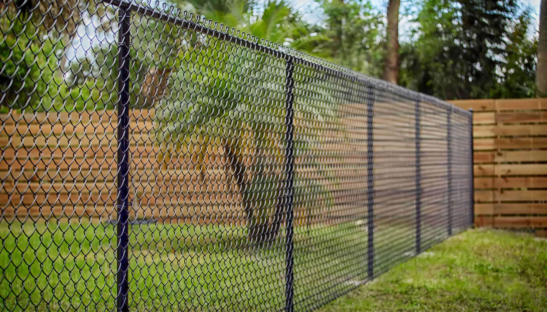 Chain Link Fencing services in Cumming